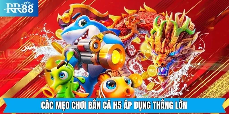 Cách tối đa hiệu quả các mẹo chơi bắn cá H5